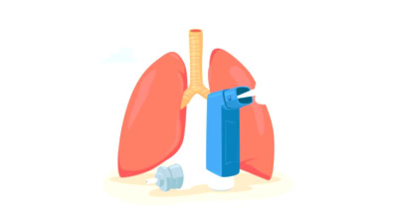 Comprehending Asthma: Exploring Its Causes and Effects on Lung Function