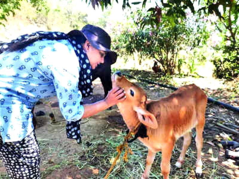 Every day on my farm teaches me beautiful lessons by Shruthi Krishnaa.