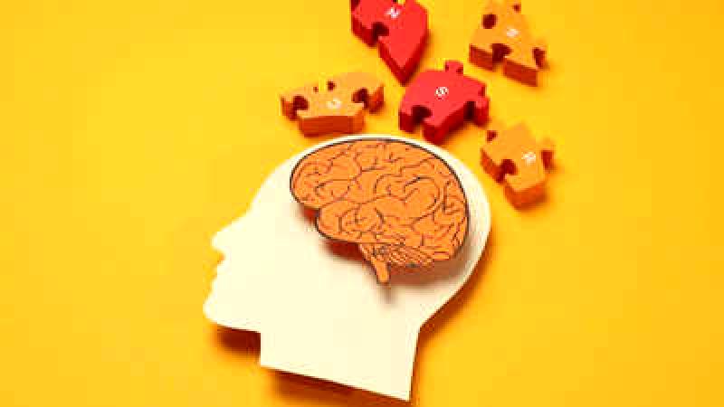 Boost Brain Function and Memory Power with These 5 Herbs