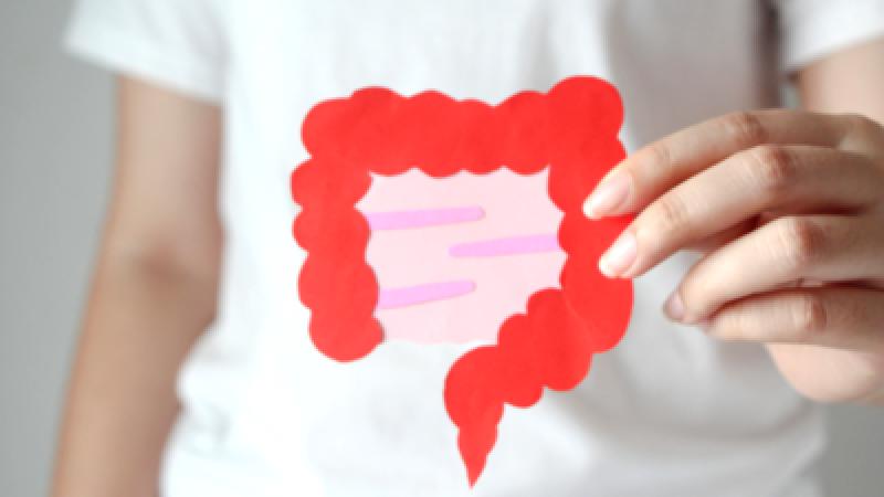 The Insights Our Digestive System Provides About Our Wellness