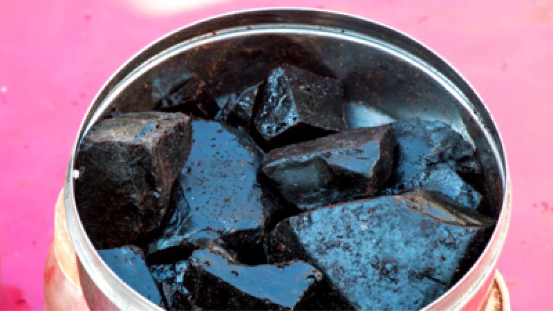 Discover 8 Essential Health Benefits of Shilajit Beyond Reproductive Health