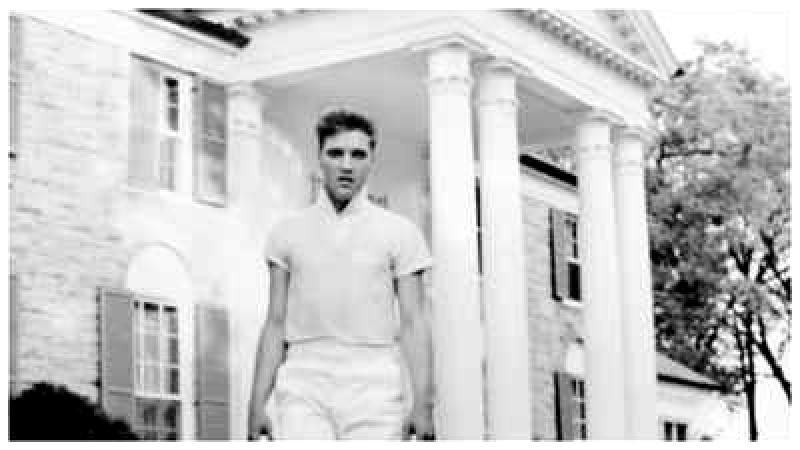 Woman detained for attempting to sell off Elvis Presley's Graceland following legal action from Riley Keough