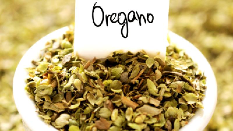 The Benefits of Using Oregano in Your Cooking: Discover Why You Should Add This Herb to Your Meals